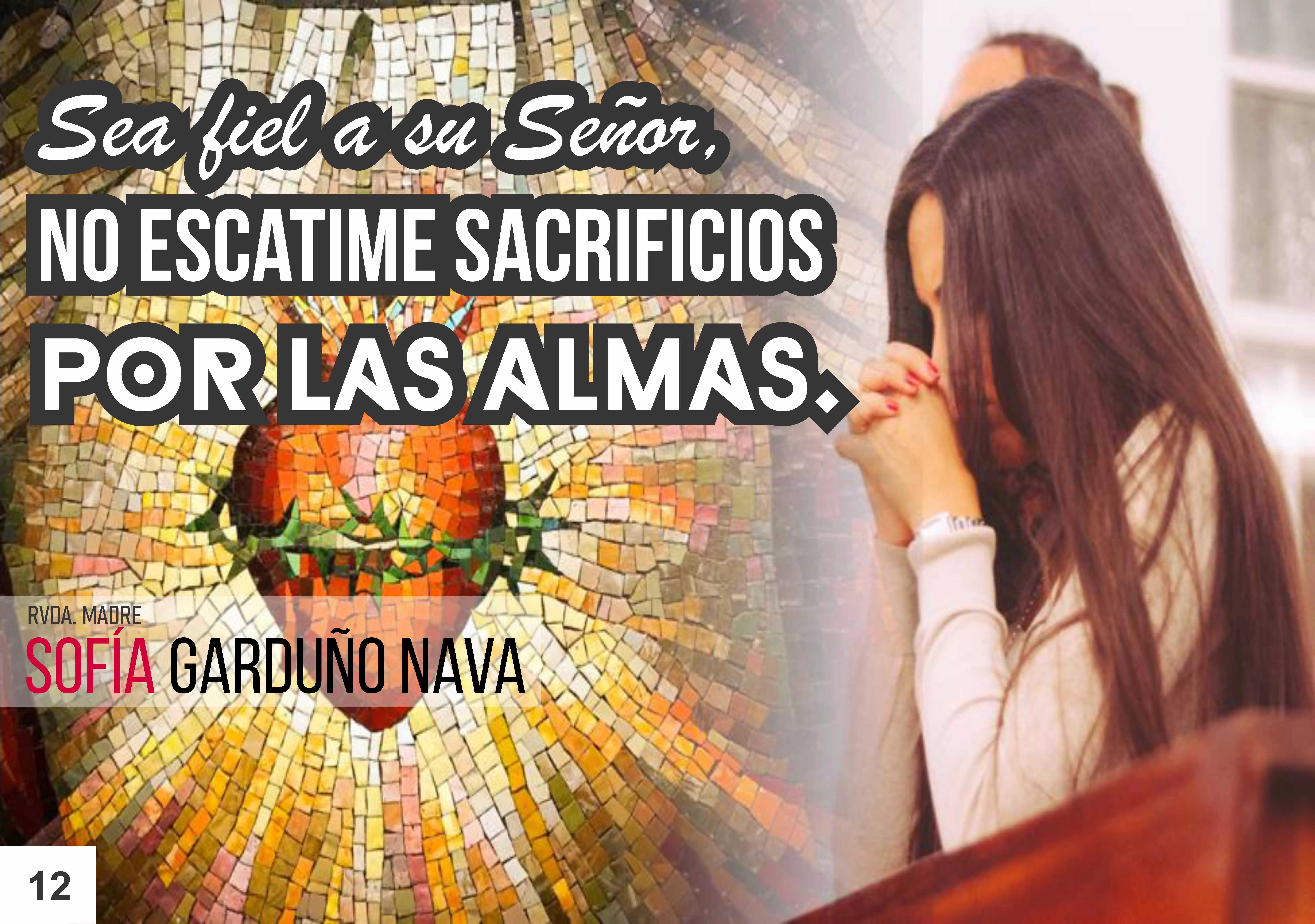 Imagen 7
