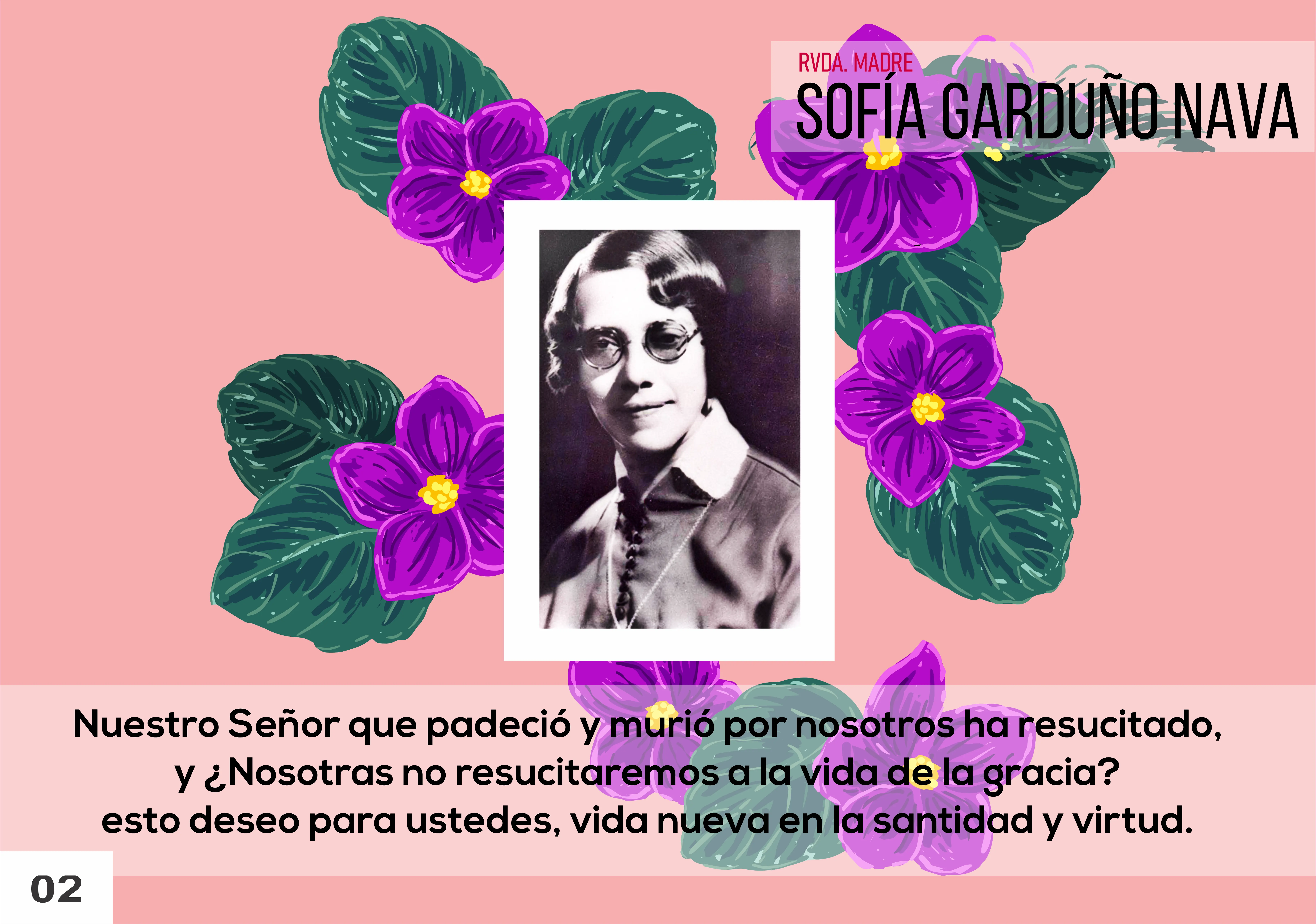Imagen 2