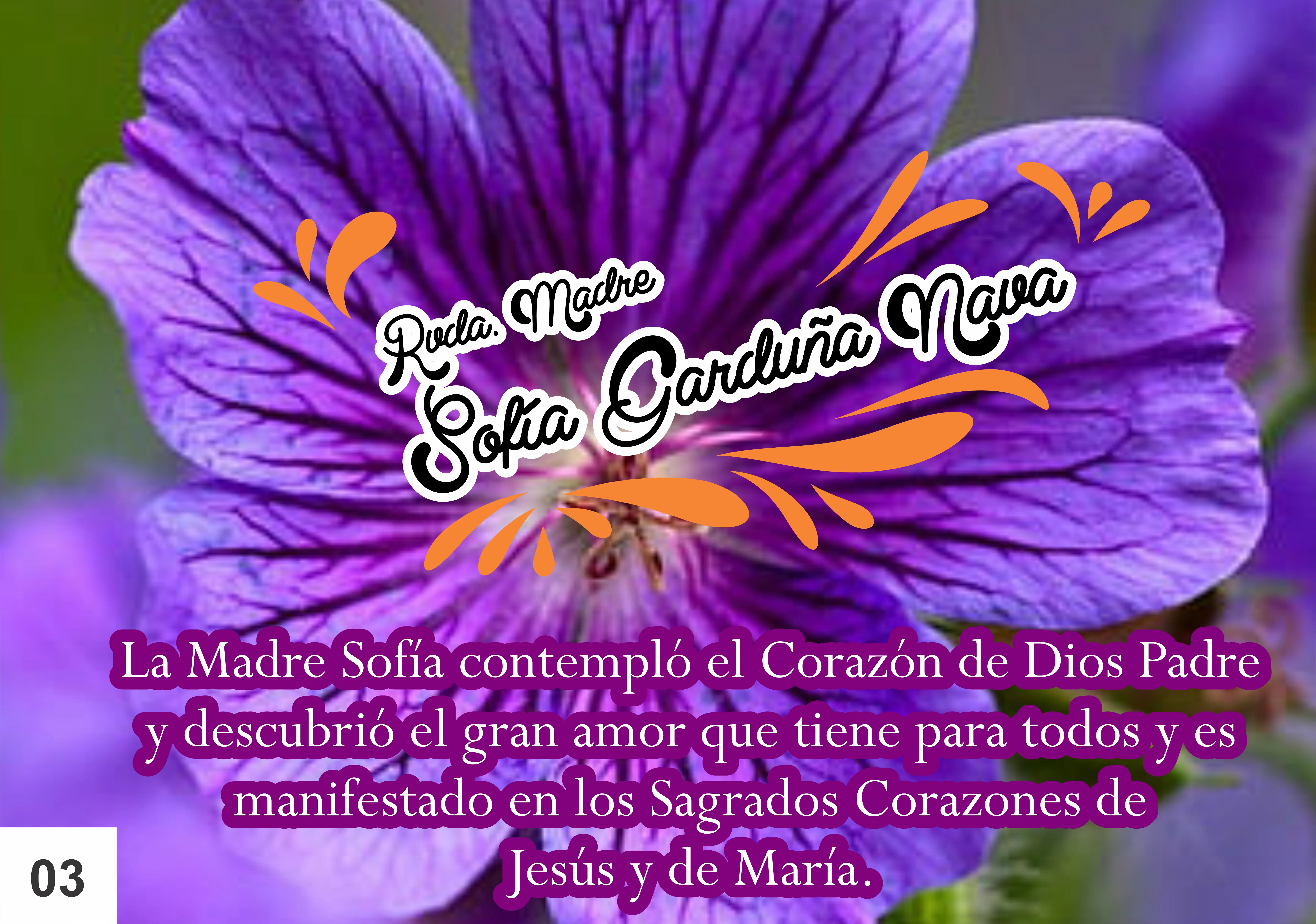 Imagen 3