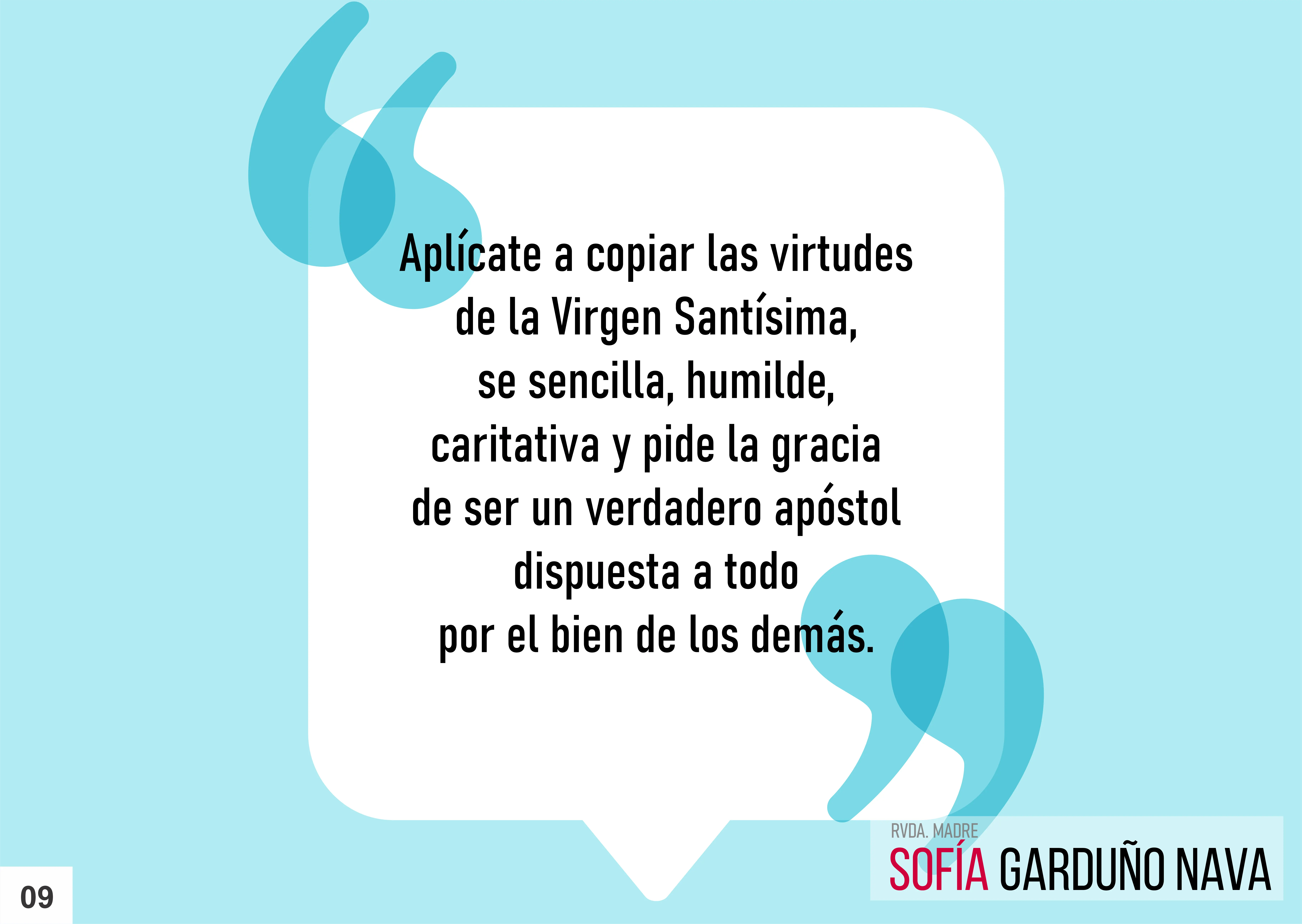 Imagen 7